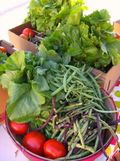 East Lake Farmers Market - CSA